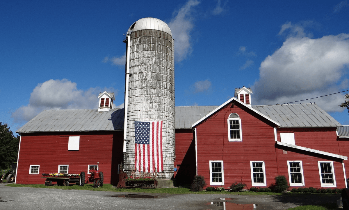 Rooted in Nature: How Summers on the Family Farm Inspired My Path - AZ Naturally