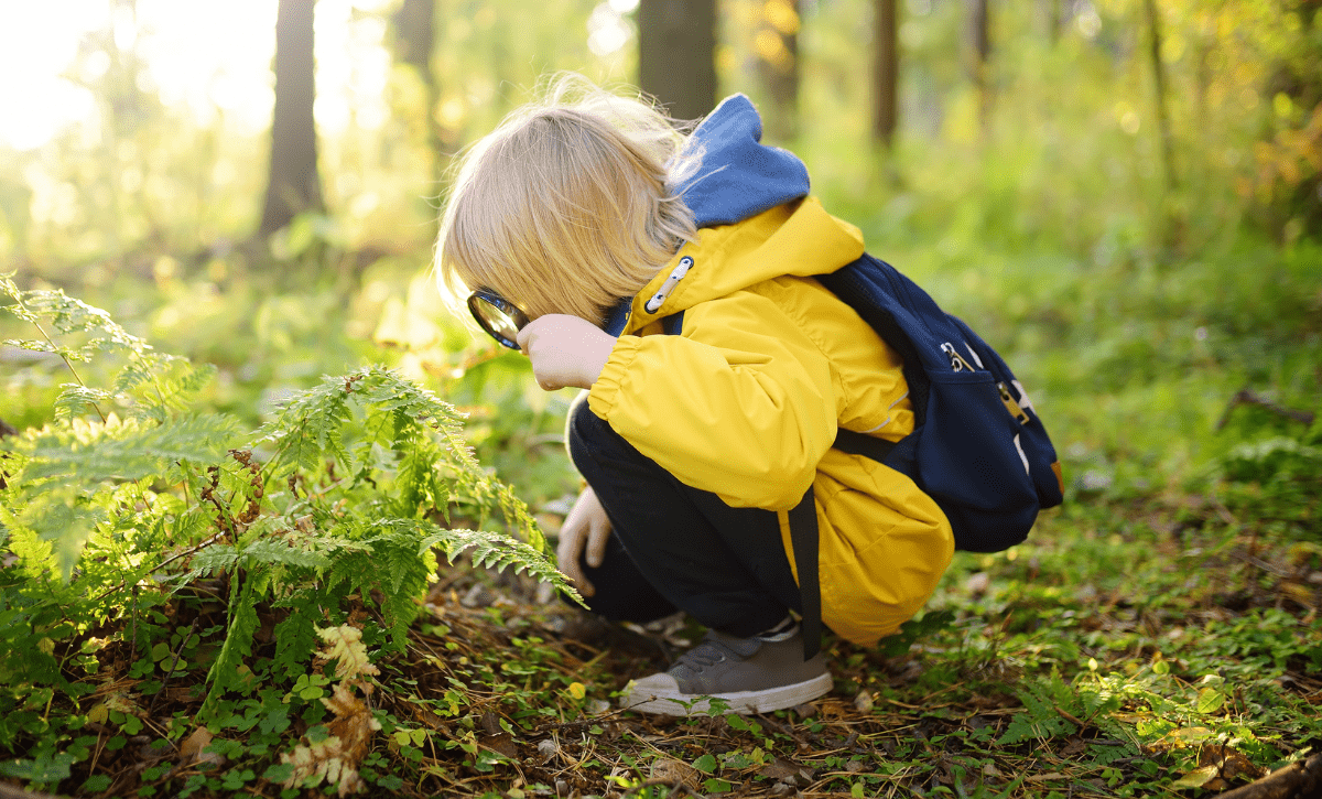 The Power of Curiosity - AZ Naturally