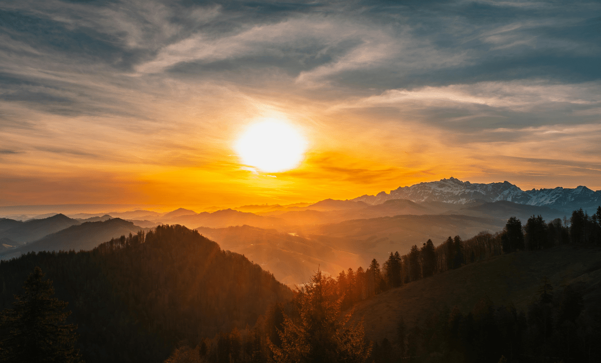 The Things That Actually Make Us Well... - AZ Naturally