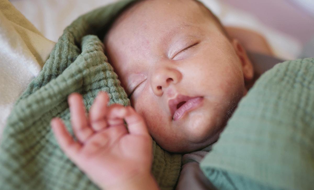 Why We Call Tallow “Mother’s Milk for the Skin”... - AZ Naturally