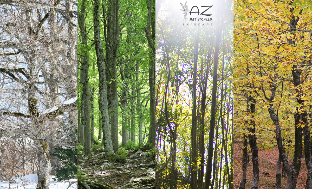 Your Skin Is Listening to the Seasons... - AZ Naturally