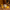 Golden Tallow Body Butter -
