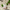 Plant - based Lip Balm - 
