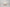 Jar of 'Tallow Whip Face & Body Moisturizer' on a light gray background 